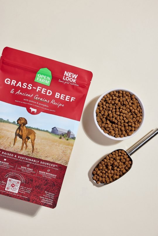 Bowl of high-protein dry dog food on a wooden surface, photographed for a Toronto pet brand