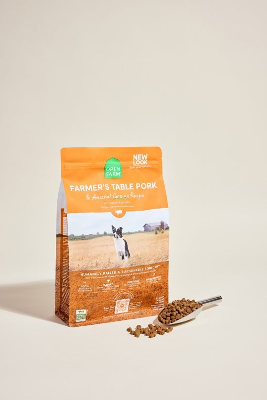 Bowl of high-protein dry dog food on a wooden surface, photographed for a Toronto pet brand