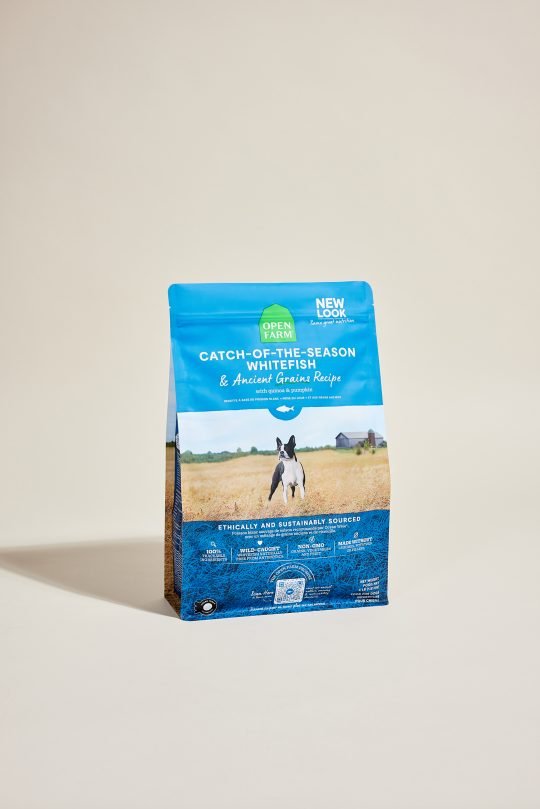 Bowl of high-protein dry dog food on a wooden surface, photographed for a Toronto pet brand