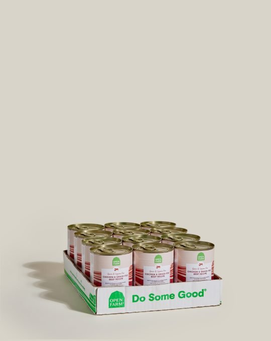 Product photography by Gia Marescotti | Toronto | Toronto Product