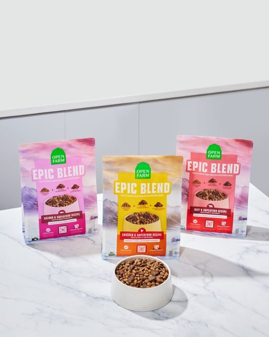 Pet Product of high-protein dry dog food on a marble surface, photographed for a Toronto pet brand