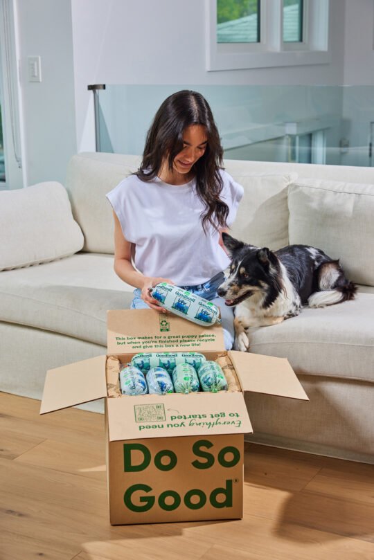 Product photography for dog food professionally photographed in the living room.