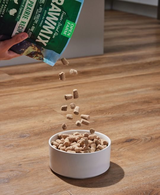 Healthy dry dog food in a ceramic bowl, captured for a natural pet nutrition brand
