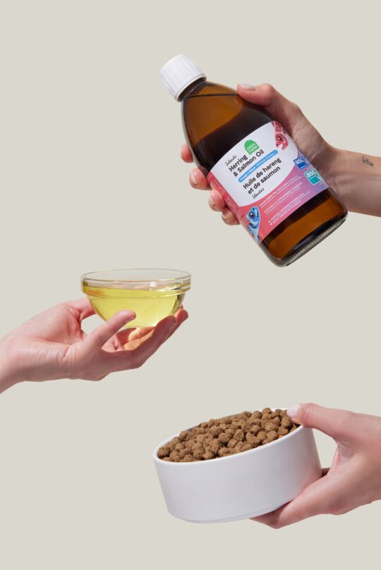 Styled of dog's supplement product view from top photographed to show the actual product. Lifestyle product photography with hand incorporate