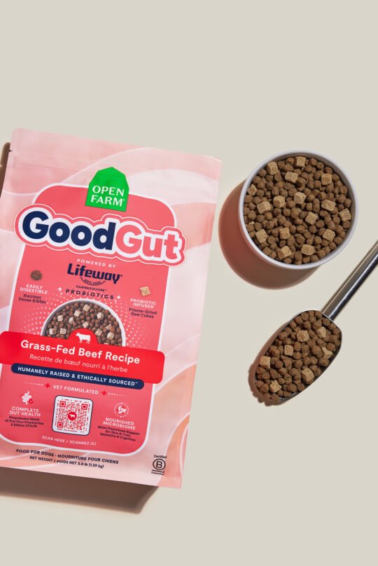 Styled of dog's treat product view from top photographed to show the actual product.