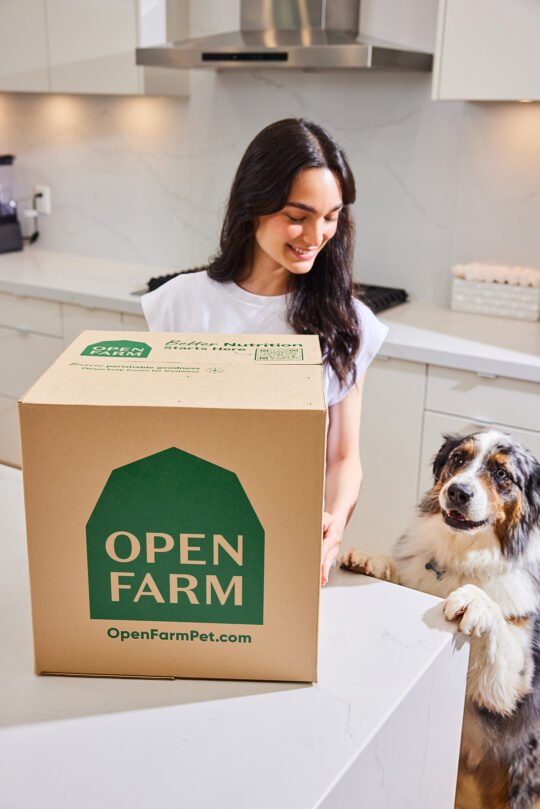 Product Photography with dog food
