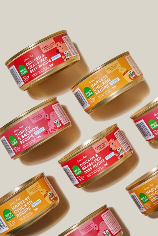 Styled of dog's treat product view from top photographed to show the actual product.