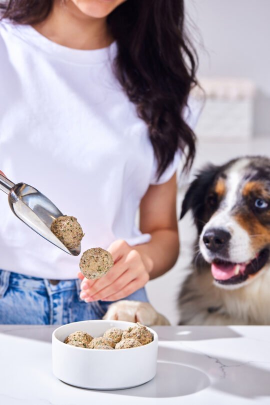 Photography of Dog owner preparing dog food. Product photography