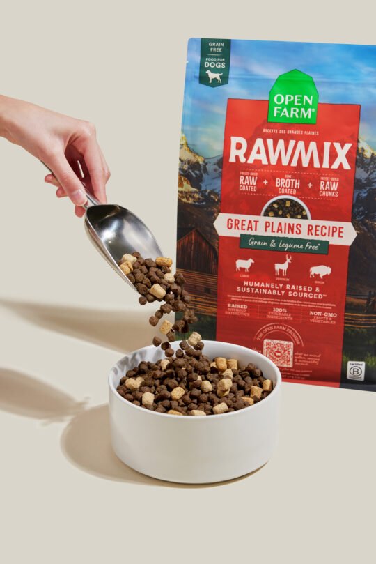 Styled of dog's food product view from front with hand incorporate photographed to show the actual product.